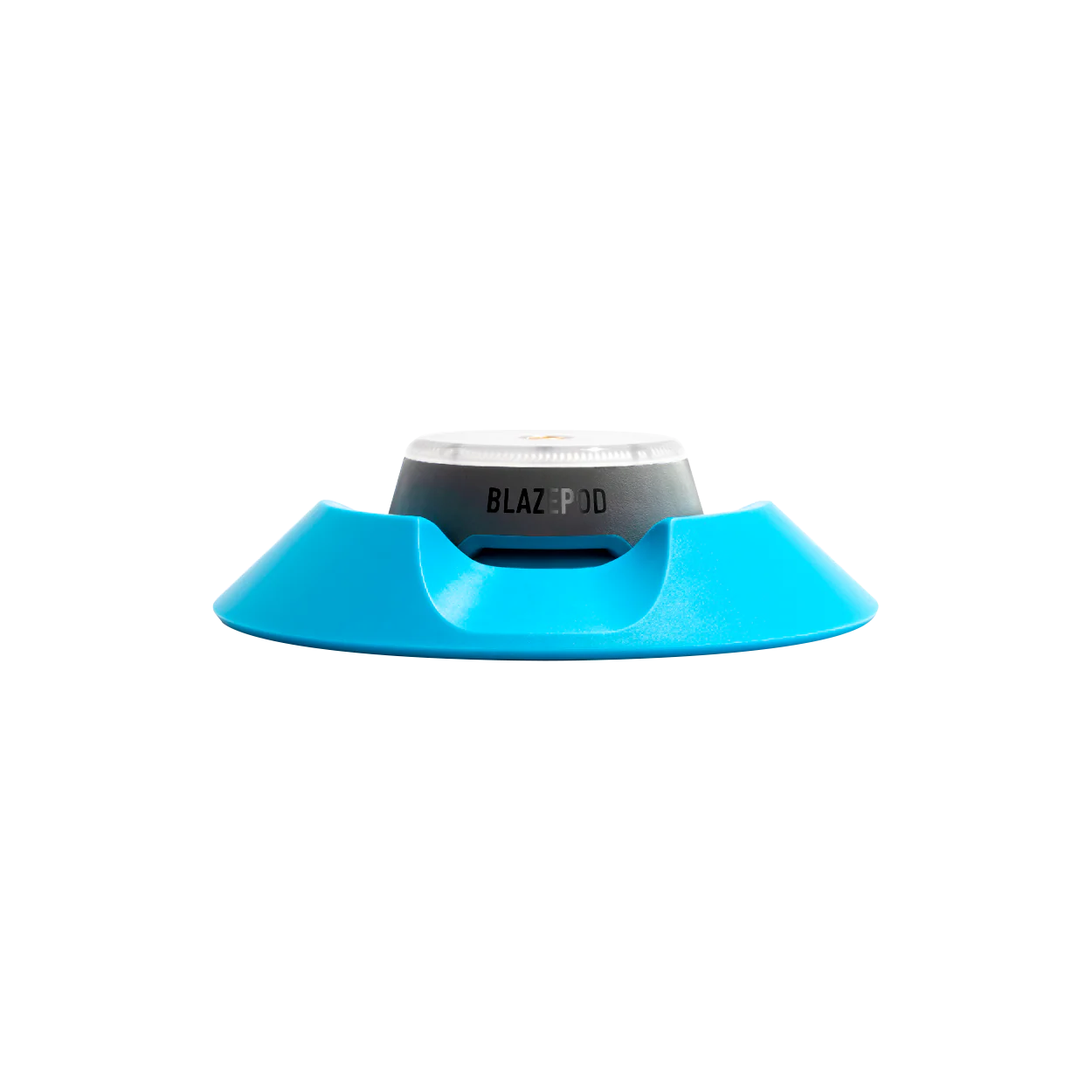 Ultimate PT CLINIC bundle - Image 7